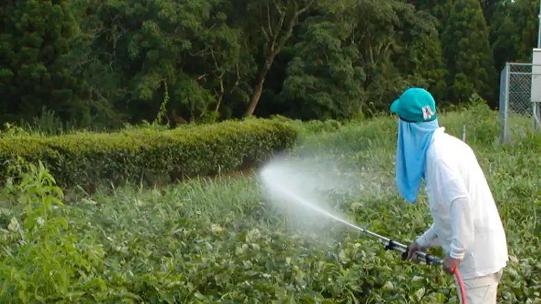 pvc spray hose for Agricultural Spraying
