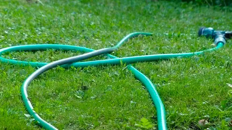 mildew garden hose