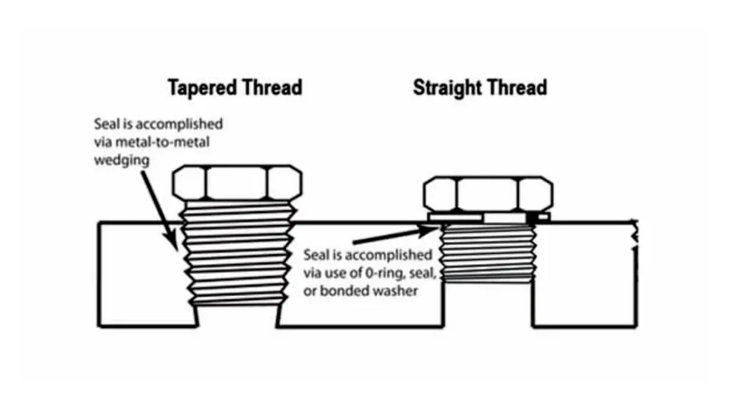 bspp vs bspt fittings