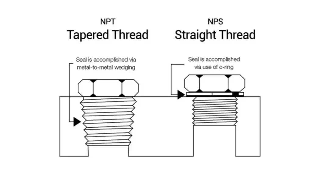 npt and nps