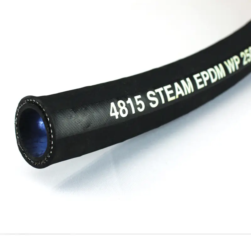 what is a steam hose