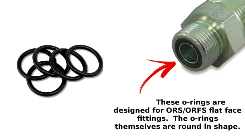 Types of Hydraulic Fittings With O Ring 2 o rings for hydraulic fittings