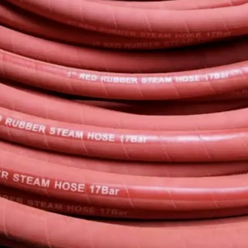 steam hose types