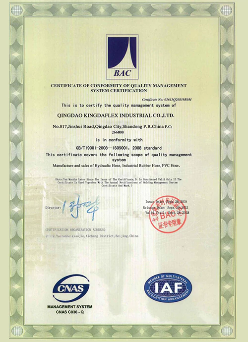 Iso certificate Kingdaflex 1 webp