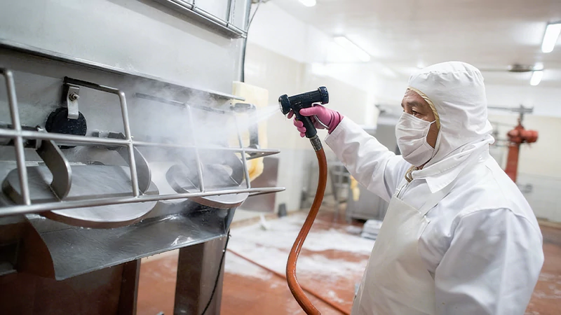 Steam Hose for Food Industries